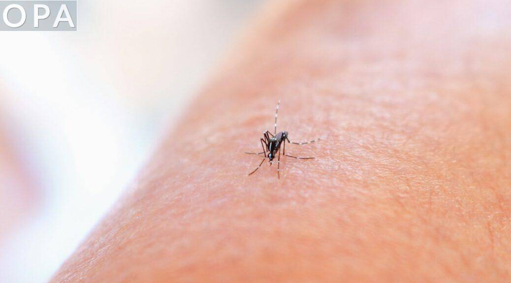 ¿Cuántas veces puede picar un mosquito?