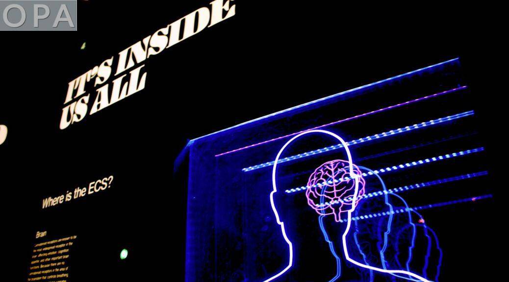 La psicología detrás de la procrastinación: por qué tu cerebro sabotea tus planes